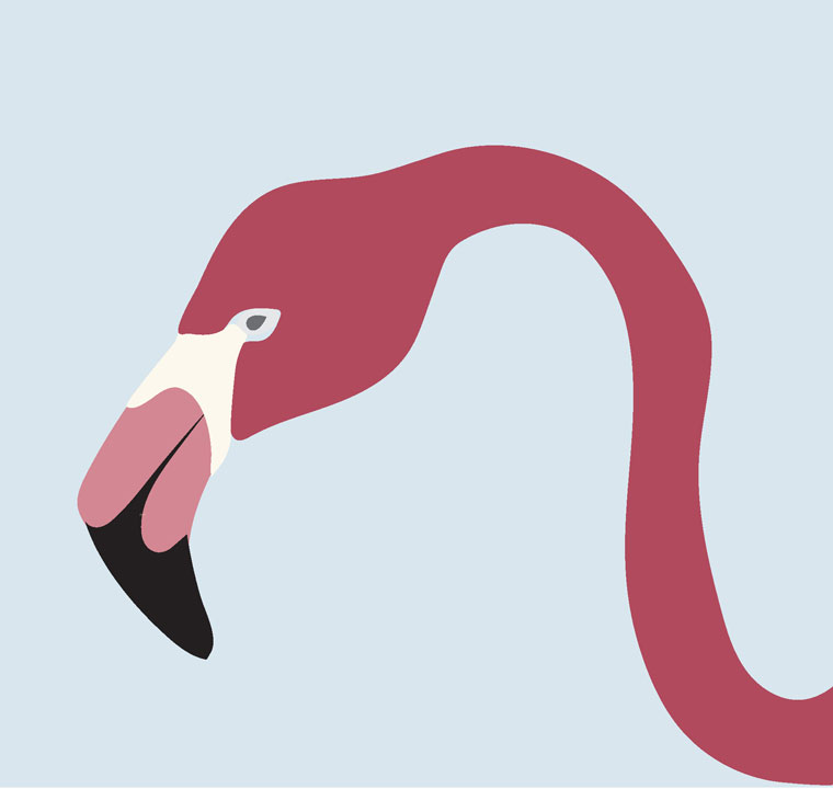 Polar Signal Design, Digital Illustration, Mural Study