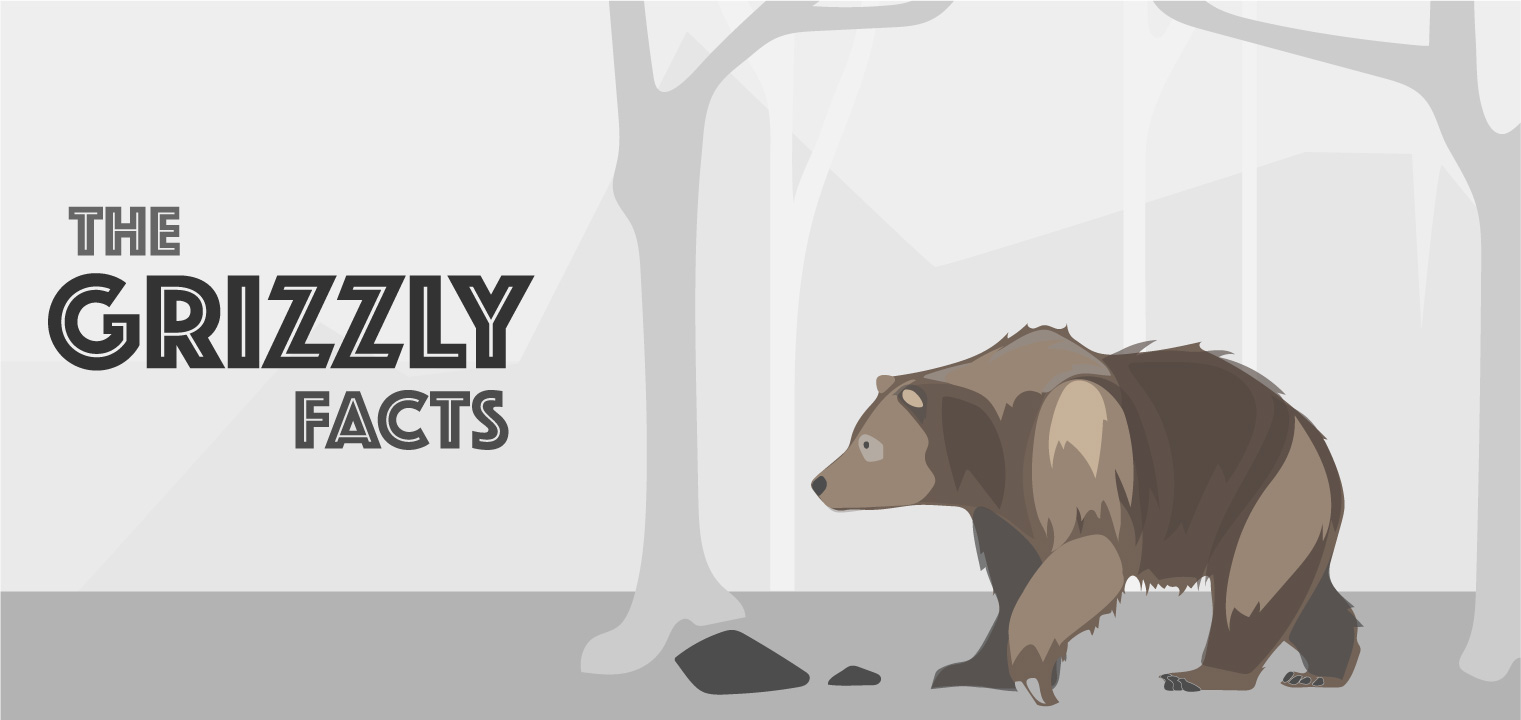 Polar Signal Design, Interactive Infographic