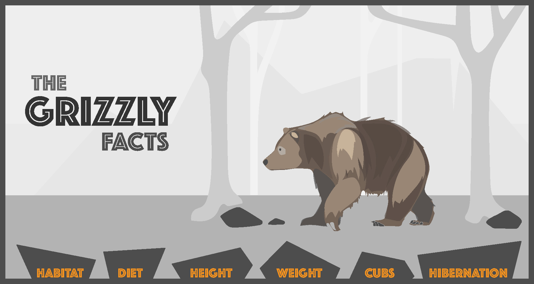 Polar Signal Design, Interactive Infographic