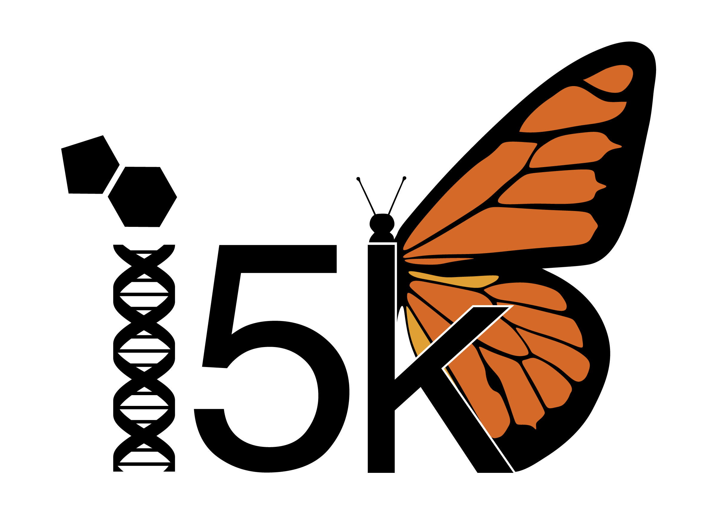 Polar Signal Design, Brand Identity Design and Development