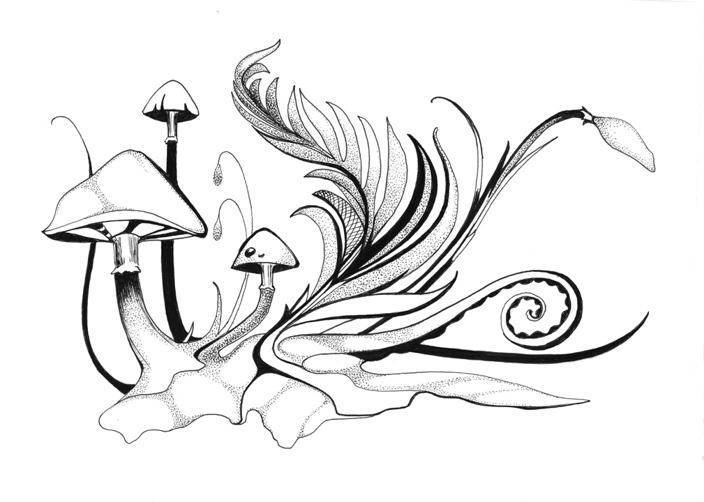 Polar Signal Design | Illustration | Pen and Ink | Understory