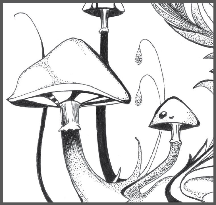 Polar Signal Design, Illustration, Pen & Ink