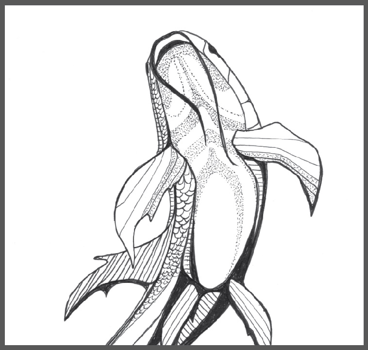 Polar Signal Design, Illustration