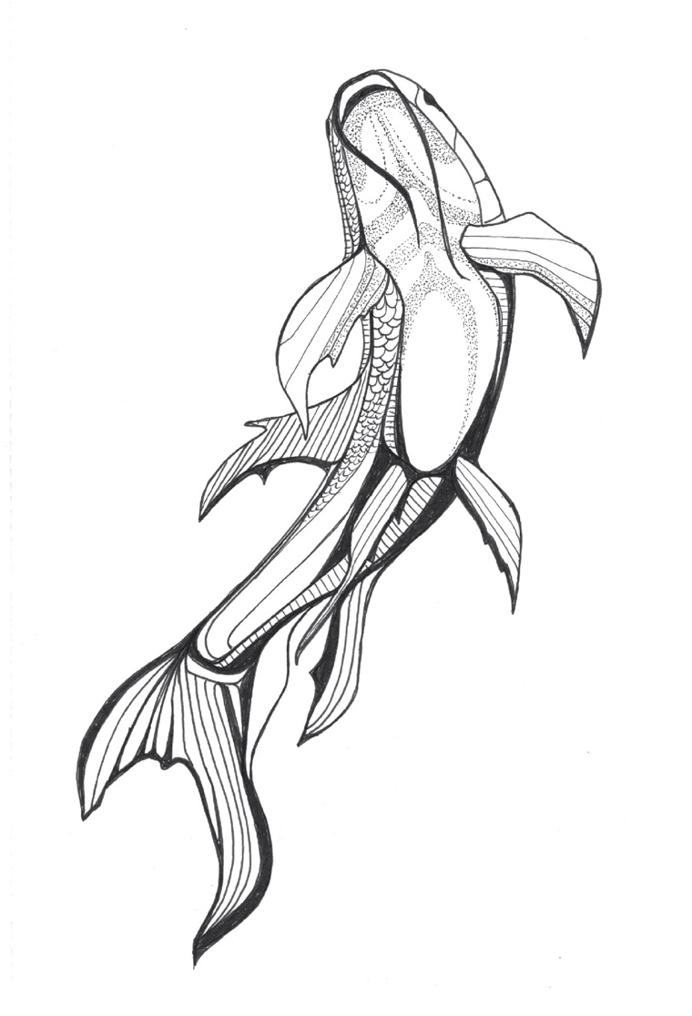 Polar Signal Design | Illustration | Pen & Ink | Koi