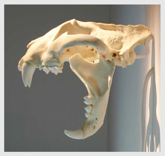 Polar Signal Design, Website Design and Development